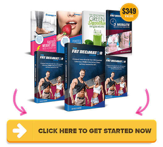 Download The Fat Decimator System PDF