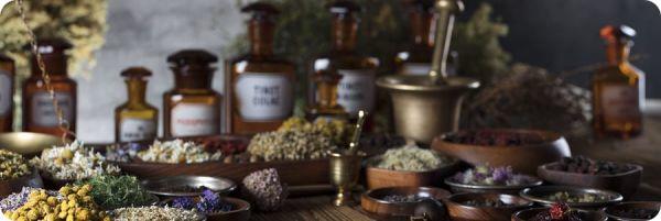 Best Home Remedies Ayurvedic Book