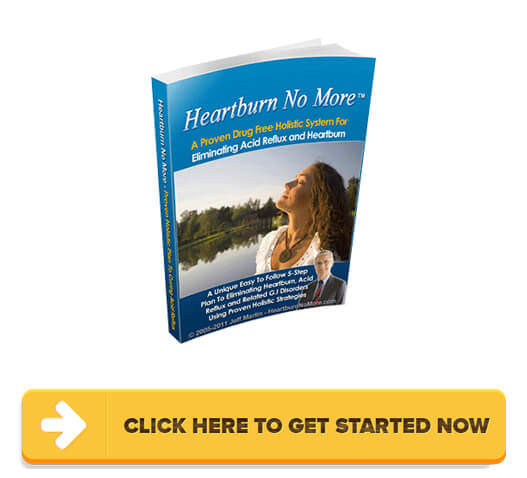 Download Heartburn No More PDF