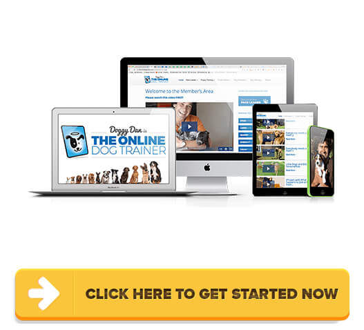 Download The Online Dog Trainer PDF