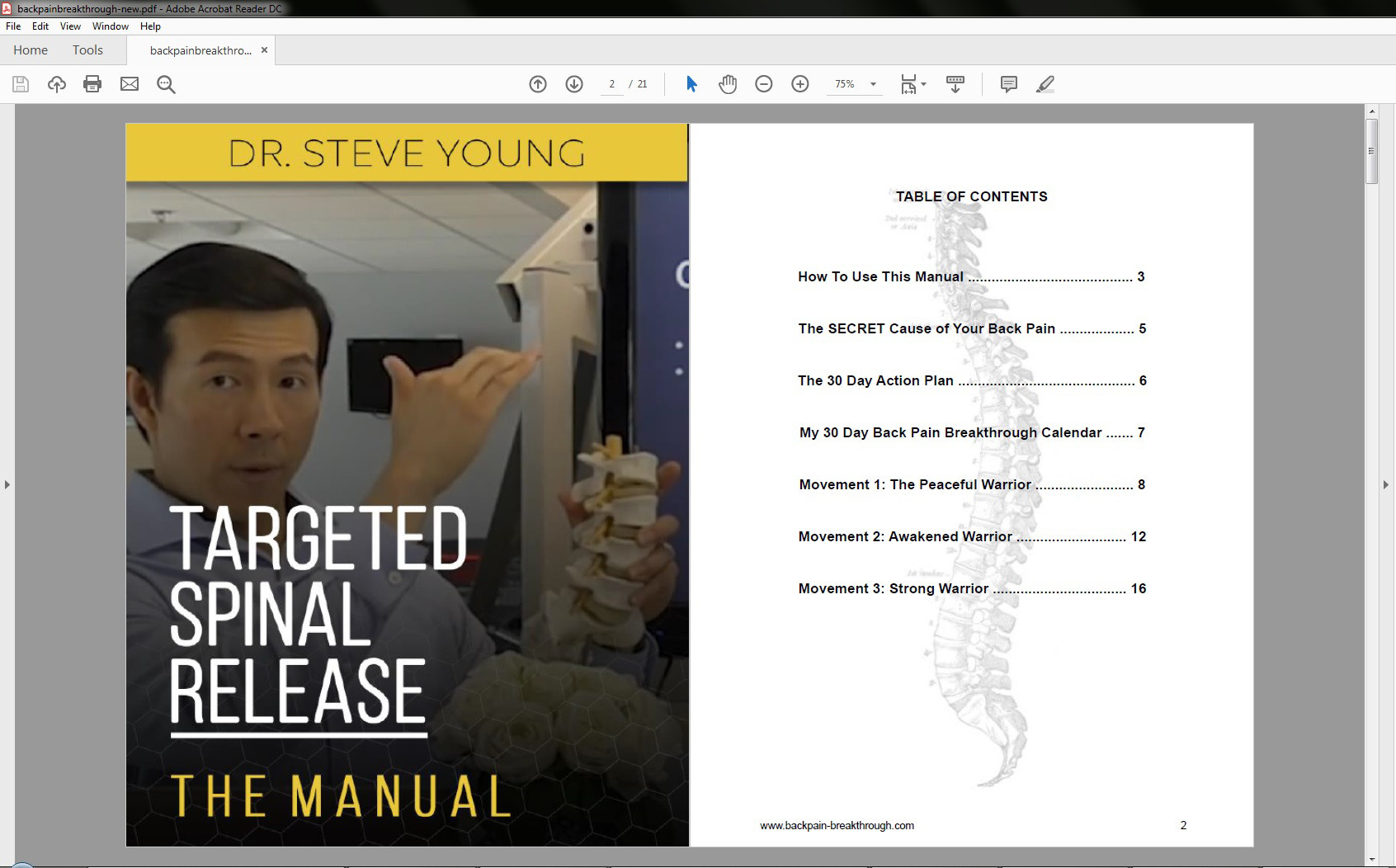 Back Pain Breakthrough - Target Spinal Release - Table of Contents