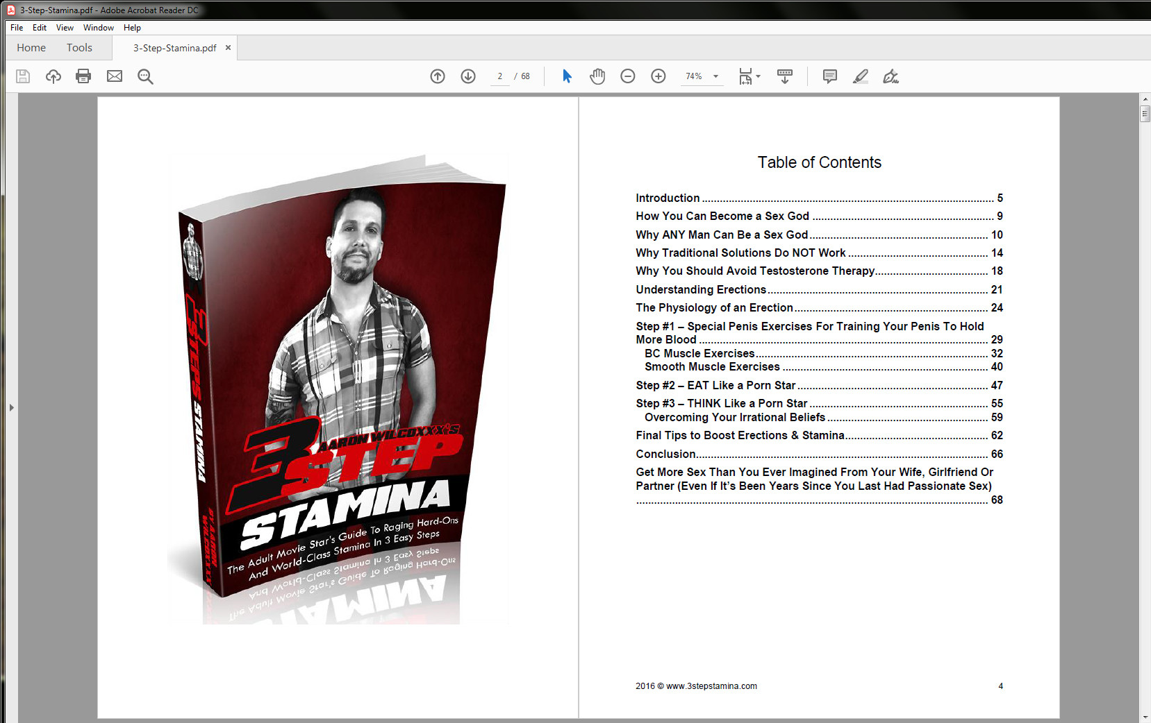 3 Step Stamina Table of Contents