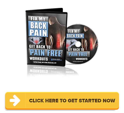 Download Fix My Back Pain PDF