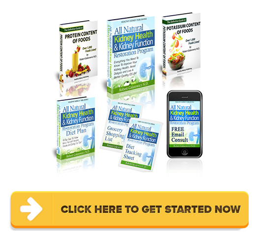 Download All Natural Kidney Health & Kidney Function Restoration Program PDF