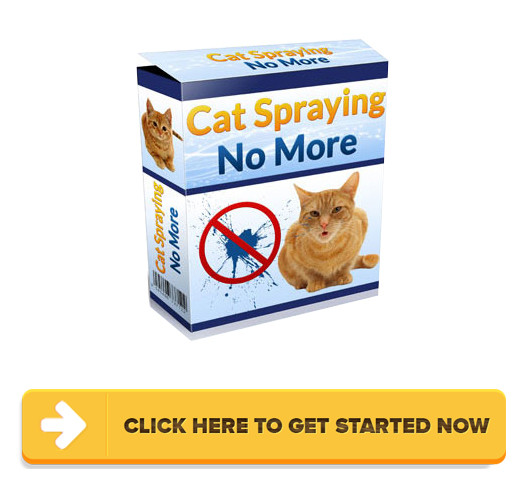 Download Cat Spraying No More PDF