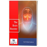 The Brain Booster PDF