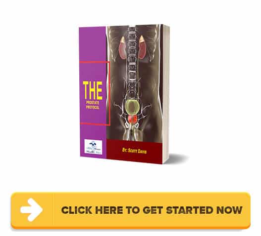 Download The Prostate Protocol PDF