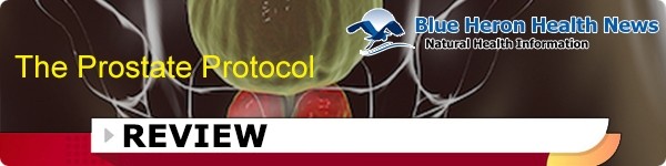 The Prostate Protocol Review